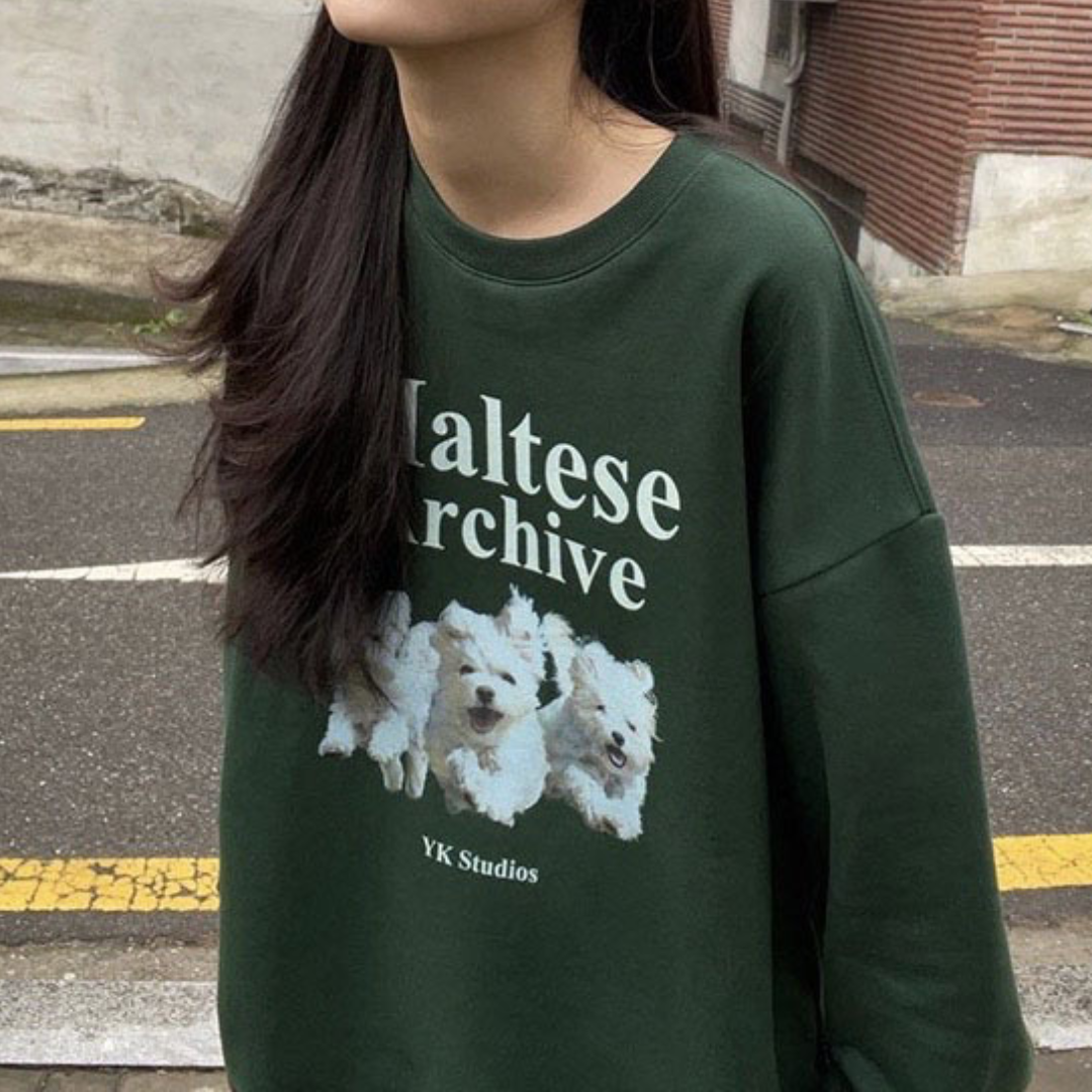 three puppies print pullover lf2610