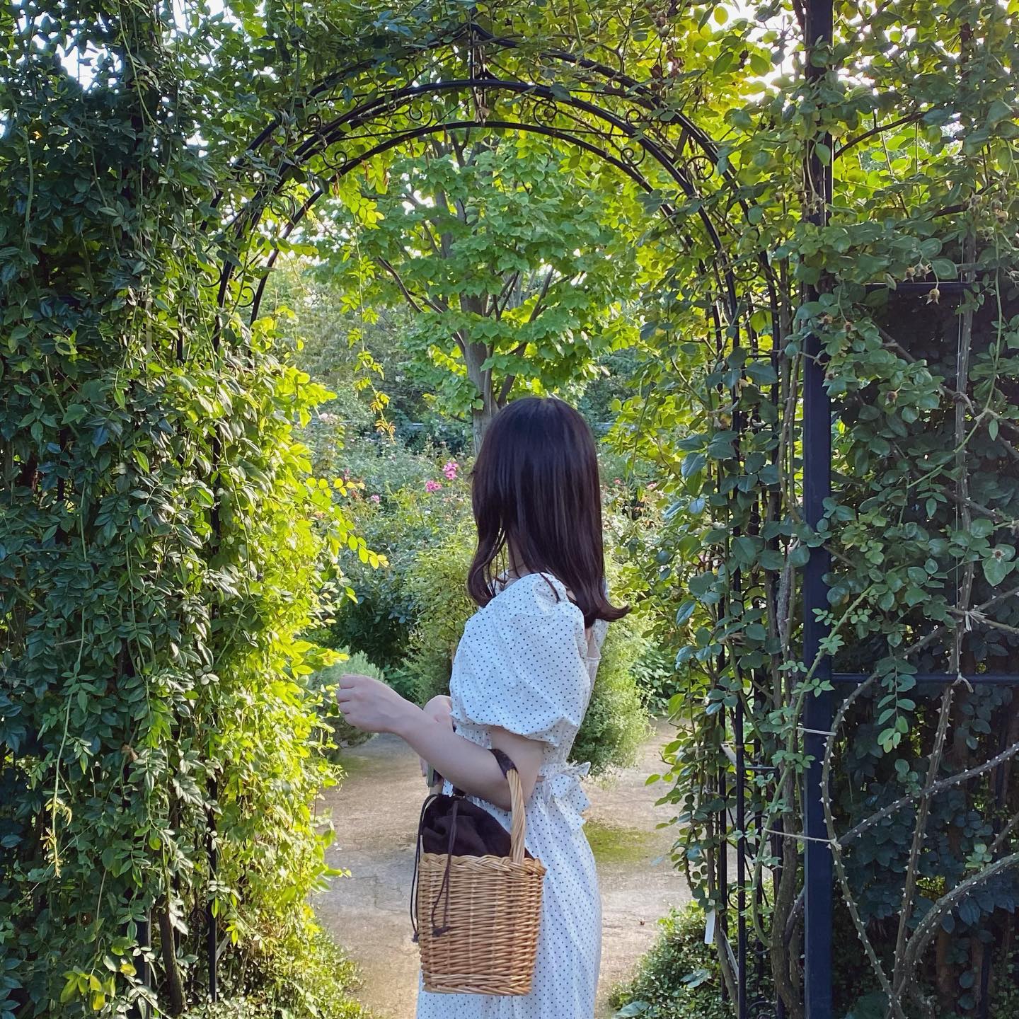waist ribbon dot onepiece lf1525_1【即納】